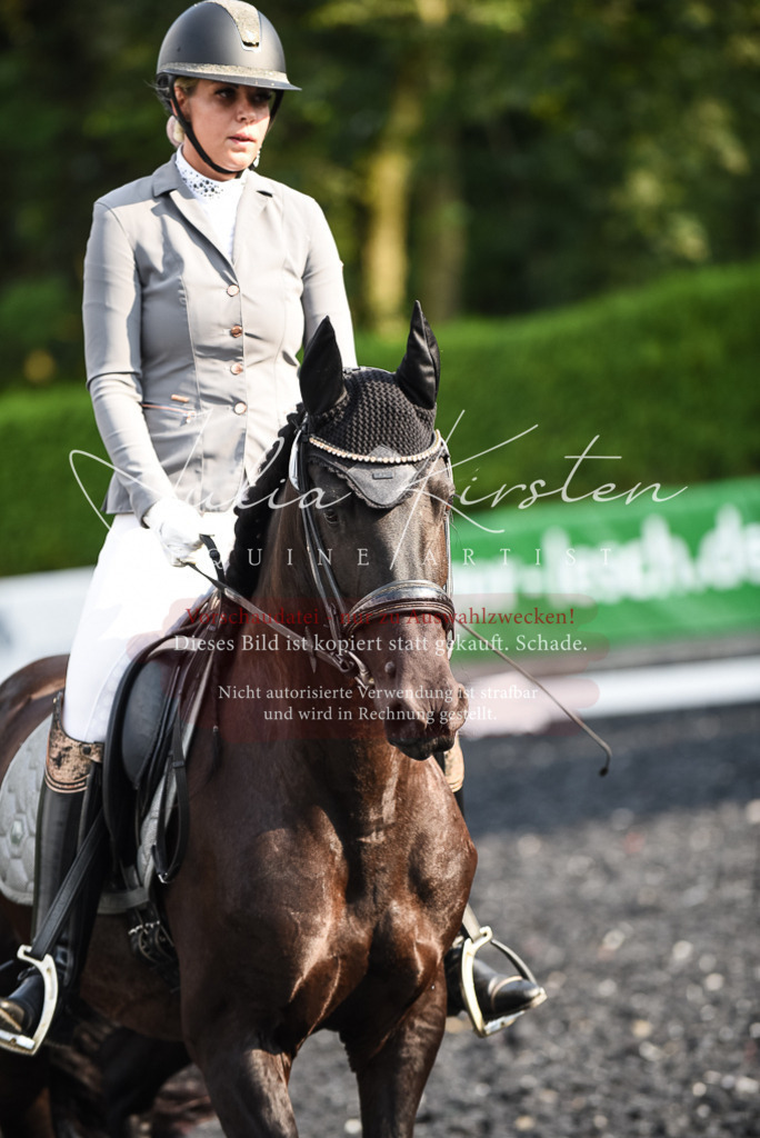 DSC_3304 | Pferde- und Turnierfotografie in Westsachsen. Pferdeportraits, Auftragszeichnungen und intuitive Kunst.