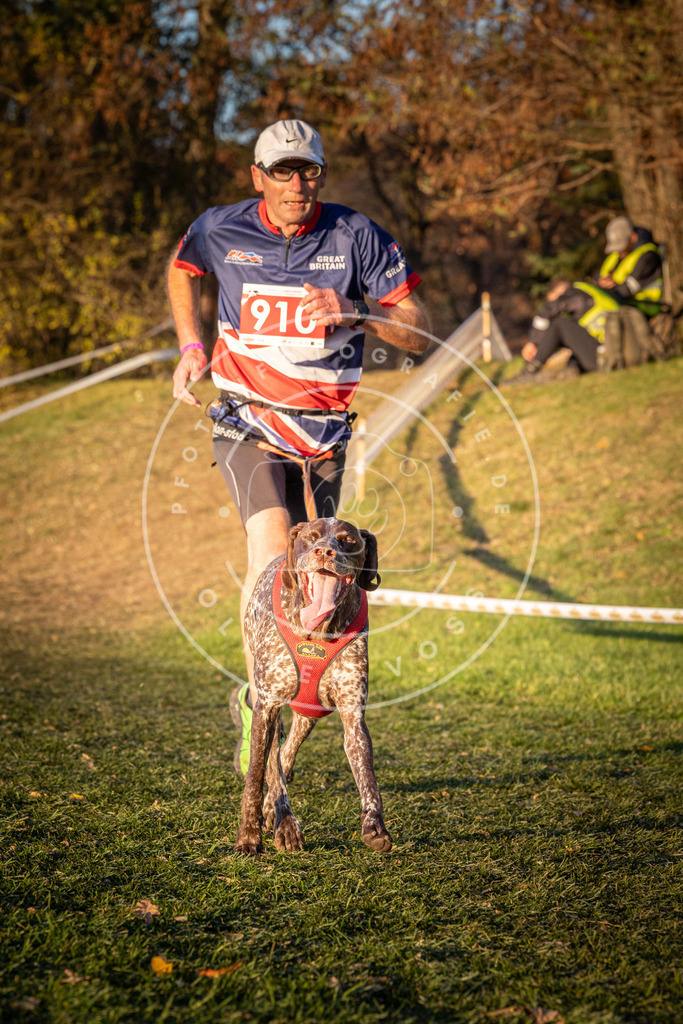 CaniXpix_0L8A1485 | Hundefotografie, Tierfotograf, Pfotenfotografie, Fotoshooting Hund, Hunde Portrait, Hundesport, Hundeportraits, Heideshooting, Hunde, Sportfotograf, Hundefotograf, Turnierhundsport, THS,  - Realisiert mit Pictrs.com