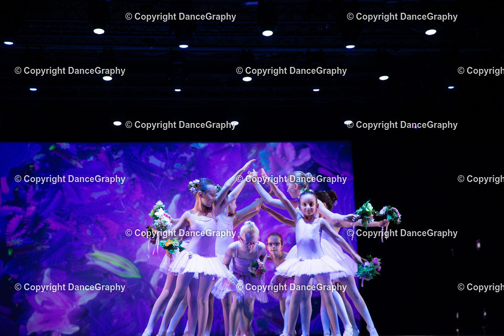 GPHY4855 | DanceGraphy - Realisiert mit Pictrs.com