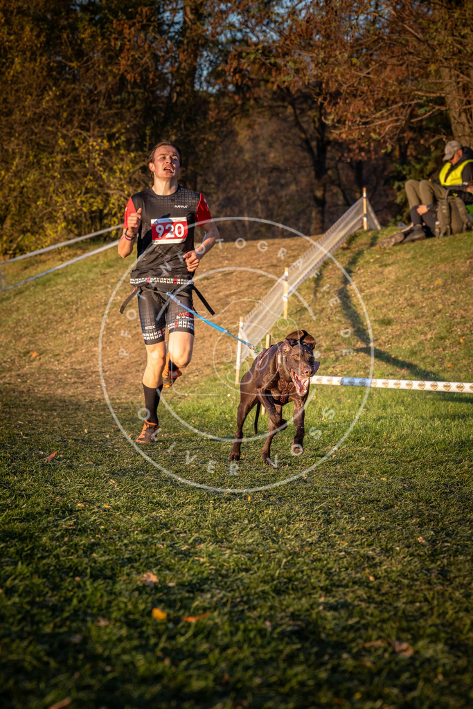 CaniXpix_0L8A1569 | Hundefotografie, Tierfotograf, Pfotenfotografie, Fotoshooting Hund, Hunde Portrait, Hundesport, Hundeportraits, Heideshooting, Hunde, Sportfotograf, Hundefotograf, Turnierhundsport, THS,  - Realisiert mit Pictrs.com