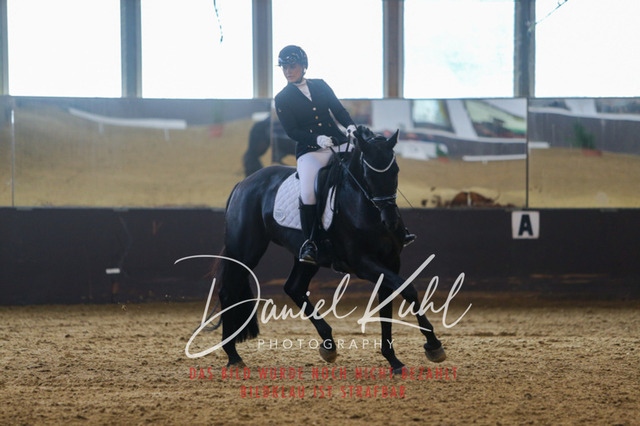 IMG_7341 | Turniersportfotografie; Pferdefotografie; Dressurfotografie