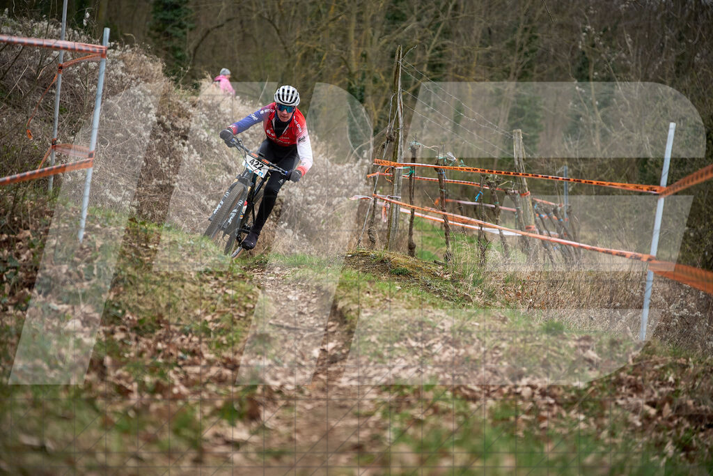 34. KTM Kamptal Trophy  | ZÖBING, Österreich – 2026-03-28: 34. KTM Kamptal TrophyFoto: © 2026 Martin Bihounek - MB Creative e.U.