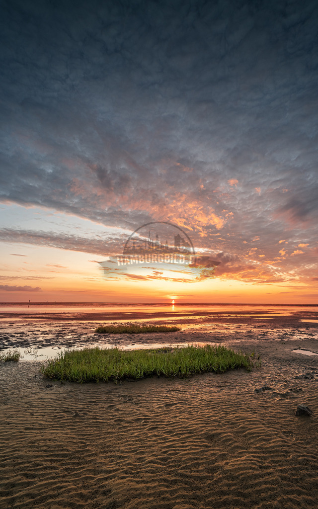 sunset_Friedrichskoog5 | Exklusive Hamburg collagen, tolle Segelbilder und viele weitere tolle Motive auf Leinwand, Poster, Alu-Dibond, u.v.m. findet Ihr bei uns auf hamburgbild.de. Findet Euer Wandbild für Euer Zuhause, Büro oder die  Praxis…. - Realisiert mit Pictrs.com