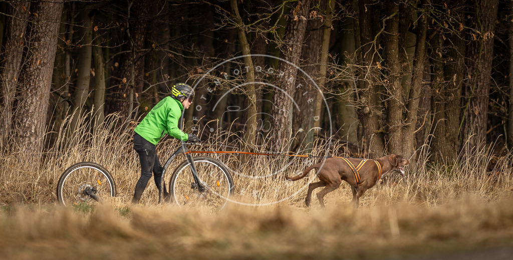 DV3A3576 | Hundefotografie, Tierfotograf, Pfotenfotografie, Fotoshooting Hund, Hunde Portrait, Hundesport, Hundeportraits, Heideshooting, Hunde, Sportfotograf, Hundefotograf, Turnierhundsport, THS,  - Realisiert mit Pictrs.com
