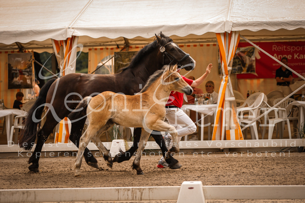 SaSF00032 | Leoni Ertmer Photography - Realisiert mit Pictrs.com