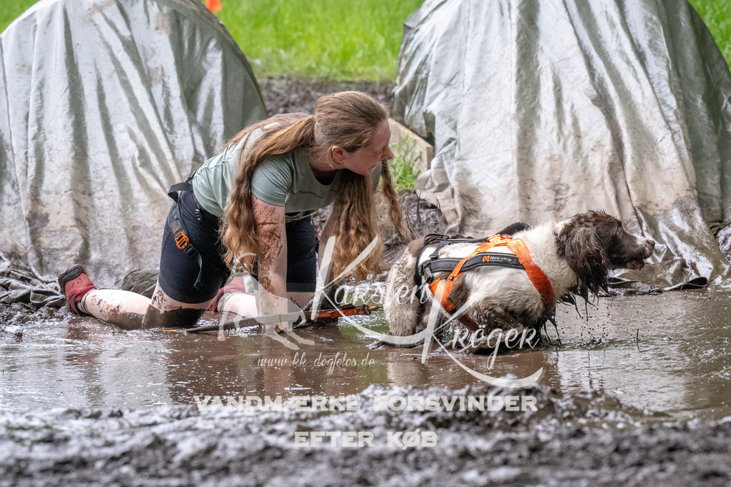 1643_ZZ90178-Bearbeitet | kk-dogfotos