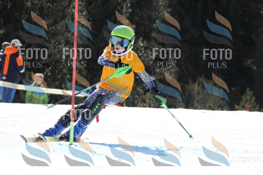 C9011 | holidayphoto