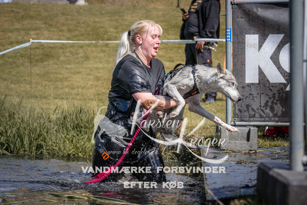 _ZZ935430940 | kk-dogfotos