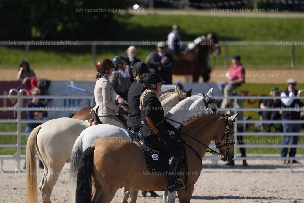 PI26_COW_Stoibphotography_DSC4942.JPG | working equitationturnier fotograf videograf stoibphotography marixx film working equitation deutschland reitsport turnierfotografie eventfotografie equestrian events