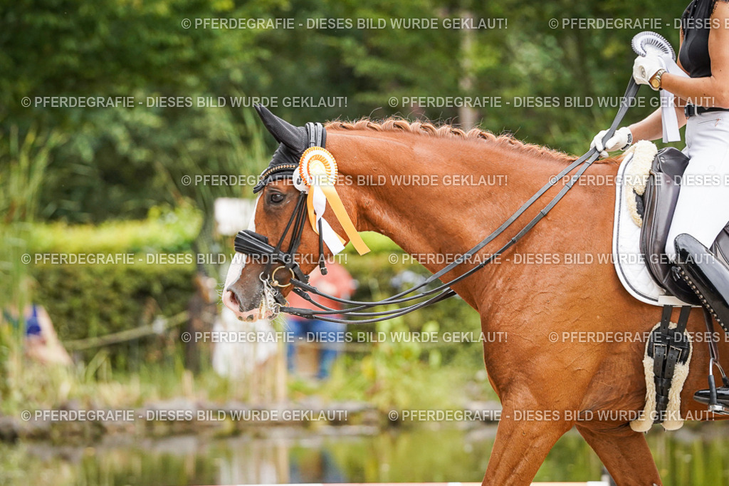 DSC08188 | Pferdegrafie