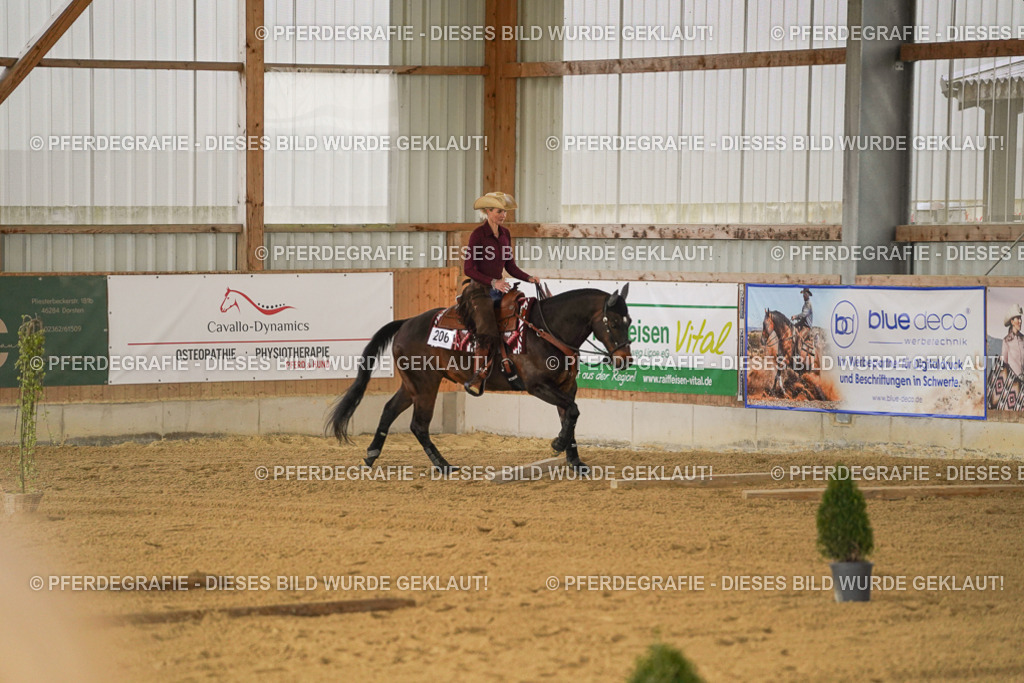 DSC03704 | Pferdegrafie