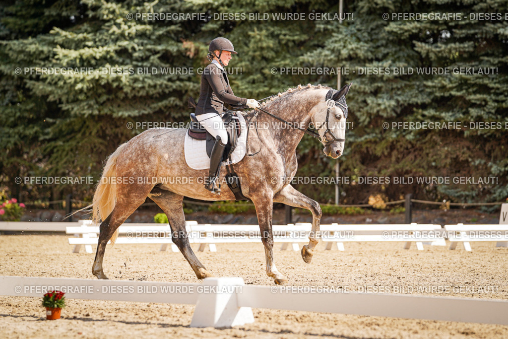 DSC01054 | Pferdegrafie