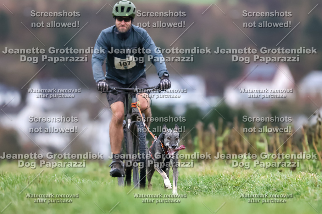 Dog Paparazzi - Herkules Race  2025-2 | Dog Paparazzi Jeanette Grottendiek Fotografie & Videografie - Realisiert mit Pictrs.com