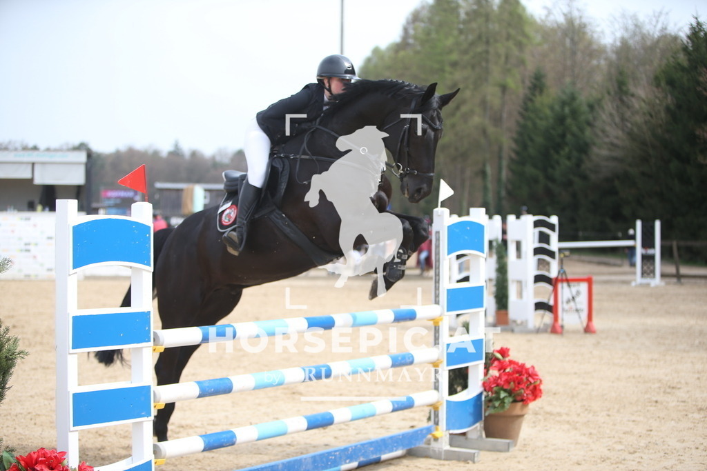 PP018099 | Willkommen bei Brunnmayr - Design & Fotografie – Ihrem Spezialisten für Reitturniere und Pferdeveranstaltungen in Oberösterreich, Salzburg und Bayern! Seit über 17 Jahren sind wir leidenschaftlich dabei.