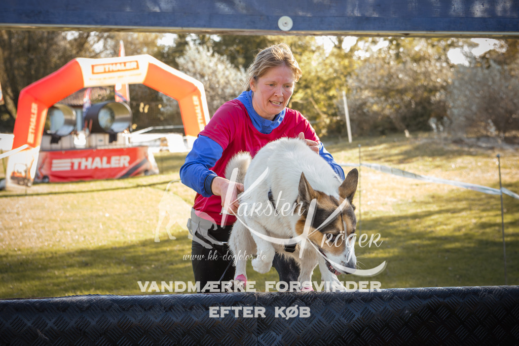 1227_ZZ96420-2 | kk-dogfotos