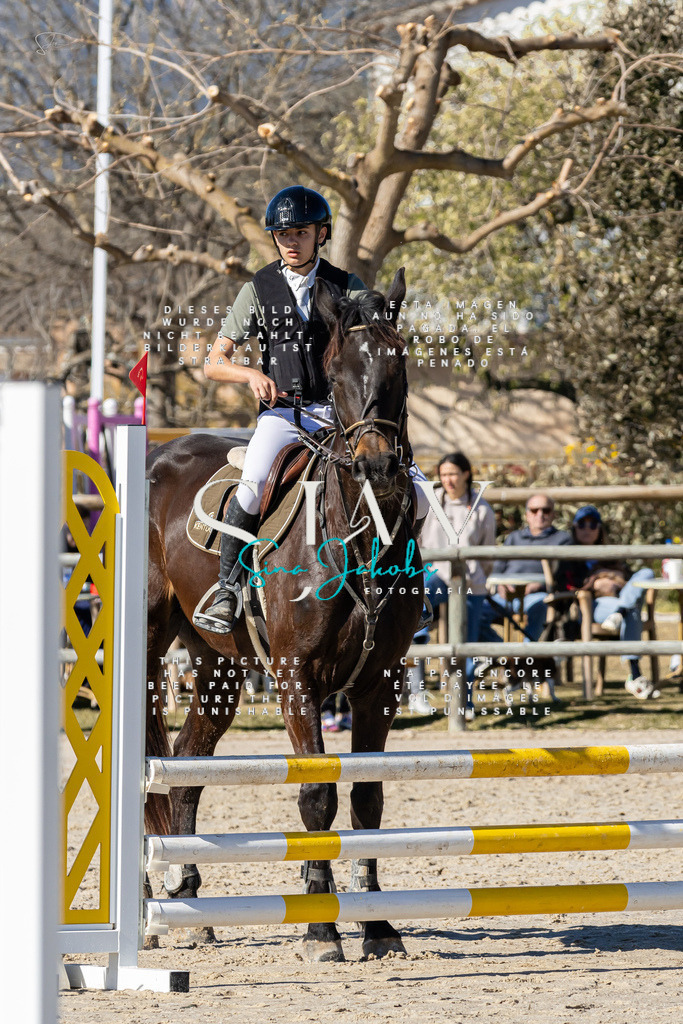 IMG_8950 | s-jay-photography - Realisiert mit Pictrs.com