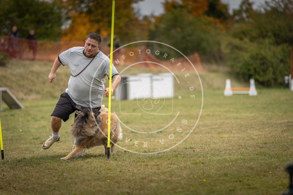 Pfotenfotografie_DV3A8337 | Hundefotografie, Tierfotograf, Pfotenfotografie, Fotoshooting Hund, Hunde Portrait, Hundesport, Hundeportraits, Heideshooting, Hunde, Sportfotograf, Hundefotograf, Turnierhundsport, THS,  - Realisiert mit Pictrs.com