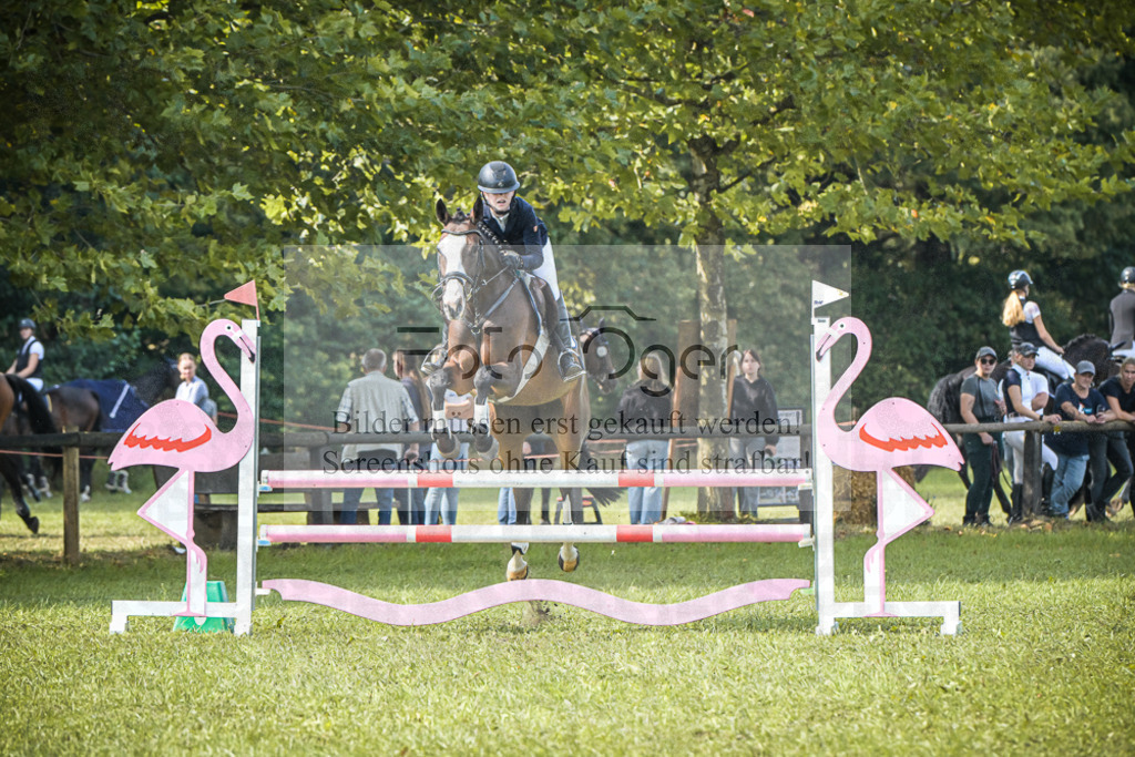 DOS_0061 | Entdecke hochwertige Reitturnierfotos von Foto Oger. Professionell, emotional und authentisch – jetzt Lieblingsmomente im Shop bestellen.Deutschlandweite Turnierfotografie. - Realisiert mit Pictrs.com