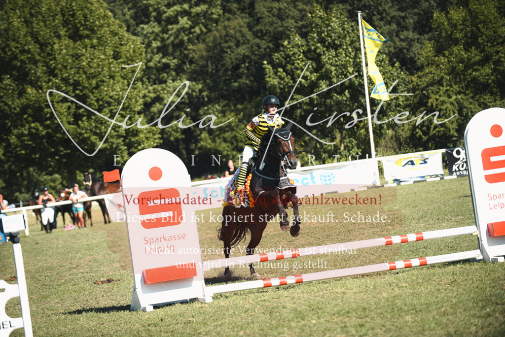 DSC_7679 | Pferde- und Turnierfotografie in Westsachsen. Pferdeportraits, Auftragszeichnungen und intuitive Kunst.