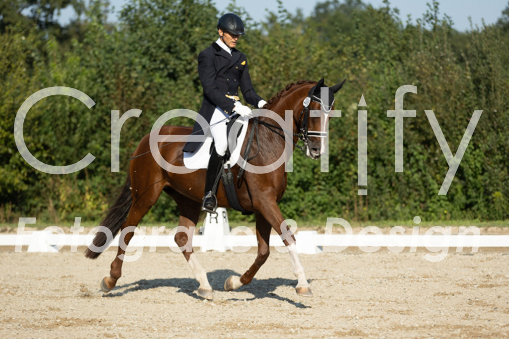 IMG_6549 | Creatify Fotografie
