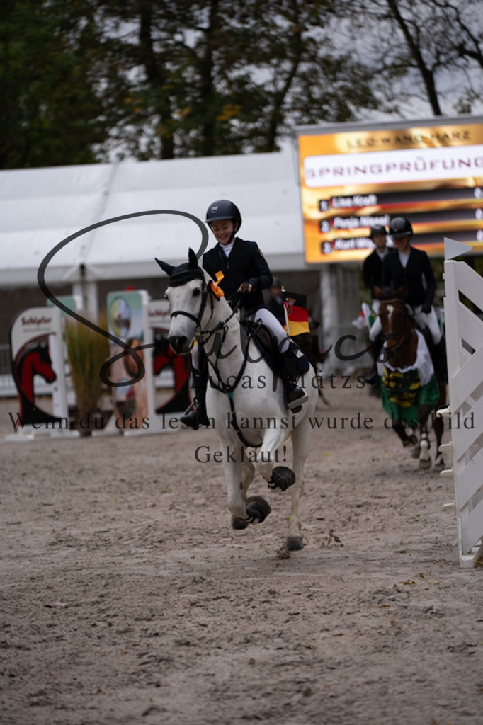 A7V09613 | Pferdefotograf