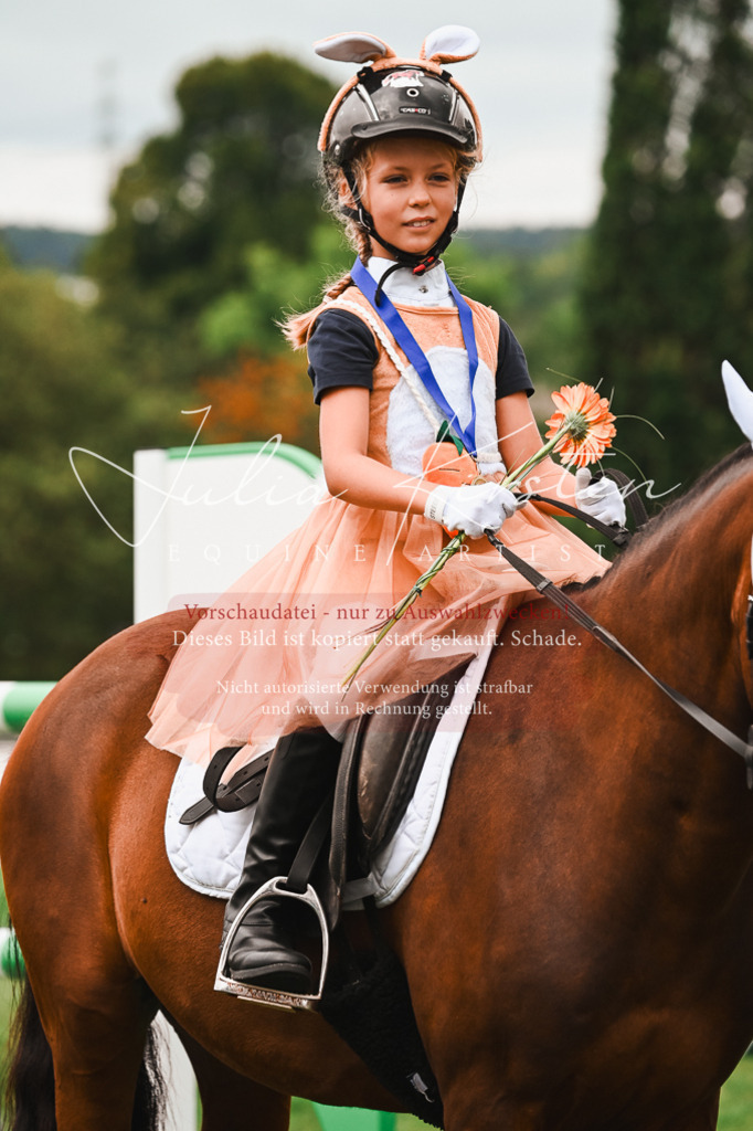 DSC_7488 | Pferde- und Turnierfotografie in Westsachsen. Pferdeportraits, Auftragszeichnungen und intuitive Kunst.