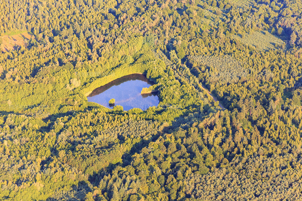 Aerial view: Pond in the forest in Betschdorf in the state Bas-Rhin, France.Photo: IMG_082913.jpg taken on 06/26/2015 by Werner Riehm/FLY-FOTO.comResolution of the original: 5472 x 3648 px
