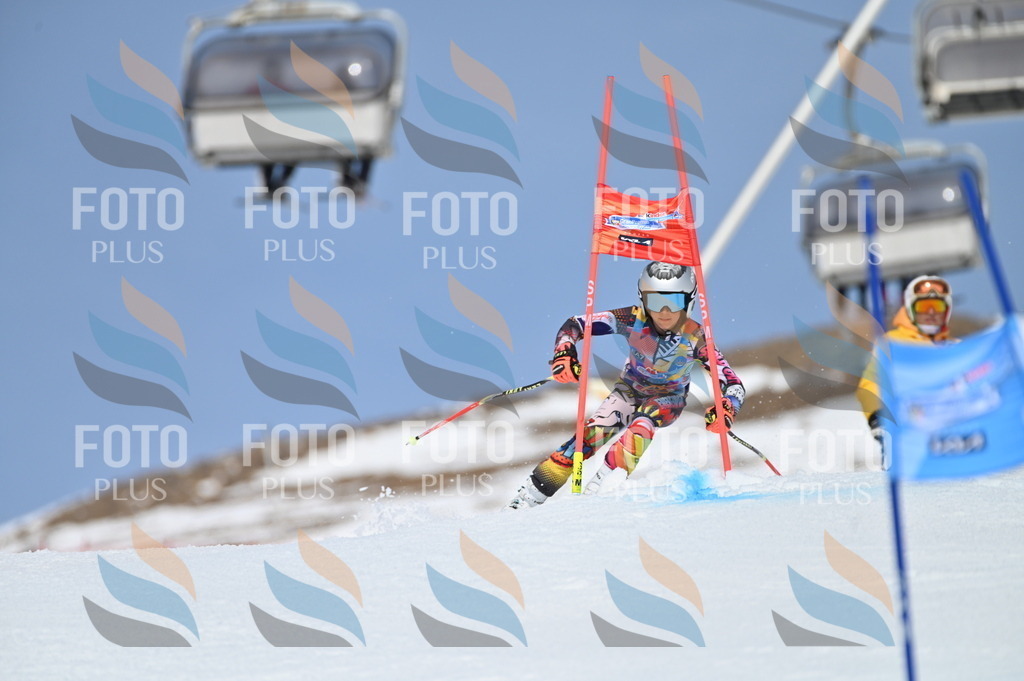 BGV_0995 | holidayphoto