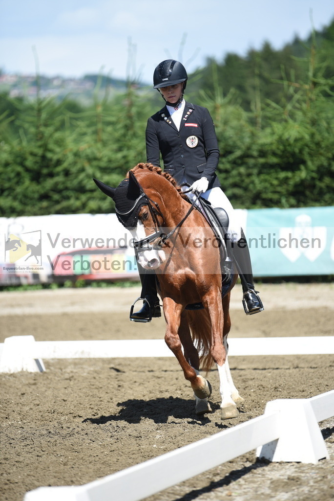 DSC_0247 | equestrian-live-com