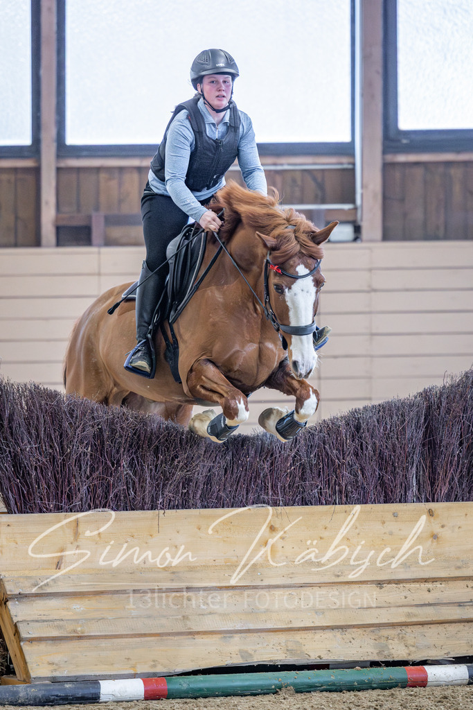 20260221-_3LI0212 | Tierfotografie Pferde, Hunde, Katzen, Haustiere.
Turnierfotografie Reitturniere, Reiten, Springreiten, Dressur in Hanau, dem Main-Kinzig-Kreis und dem Rhein-Main- Gebiet um Frankfurt