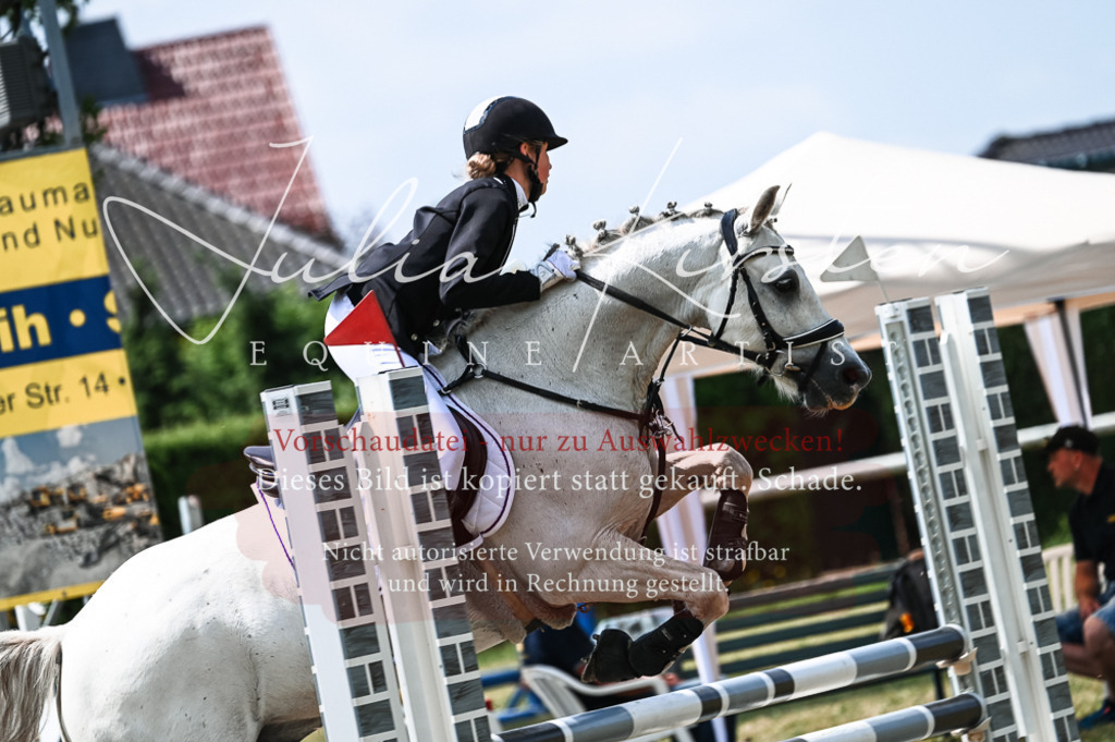 DSC_9421 | Pferde- und Turnierfotografie in Westsachsen. Pferdeportraits, Auftragszeichnungen und intuitive Kunst.