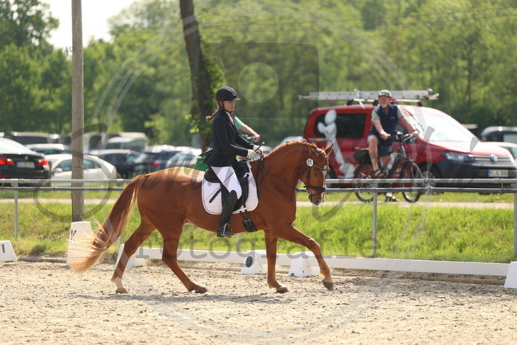 994A6641 | sabrinanicolaifotografie - Realisiert mit Pictrs.com