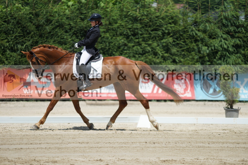 DSC04880 | equestrian-live-com