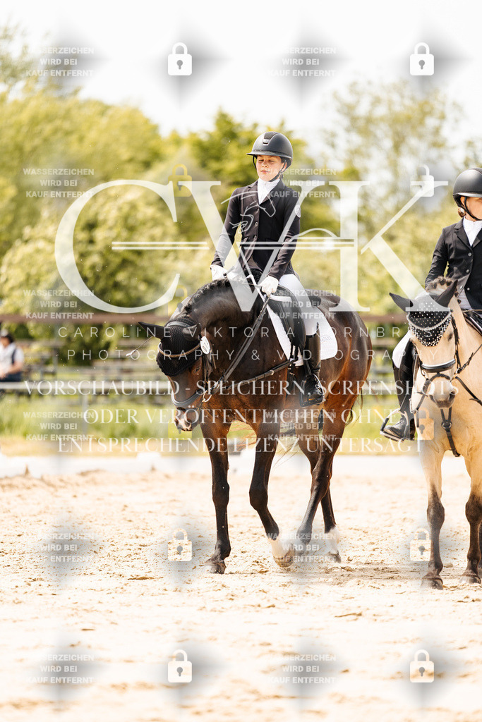 CK902623 | Turnierfotografie Pferdefotografie Trier Rheinland-Pfalz Pferdesport Reitsport Tierfotografie Sportfotografie Pferdevideo Pferdevideografie Equestrianvideography equestrianphotography  - Realisiert mit Pictrs.com