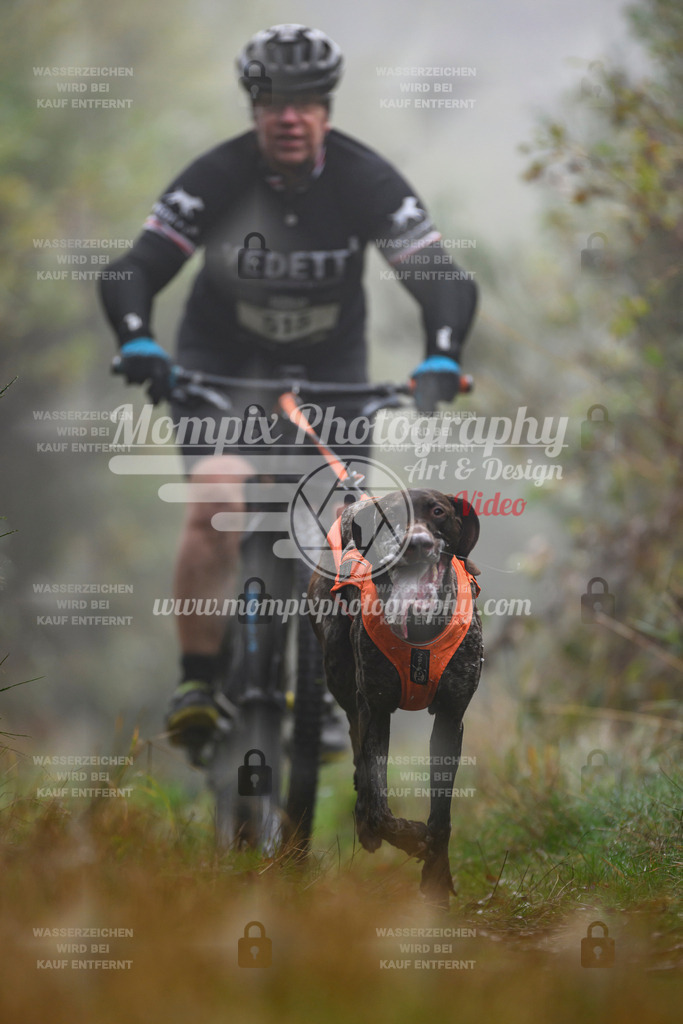 MompixPhotography_20TSB_E4_Bike-131 | PayLife