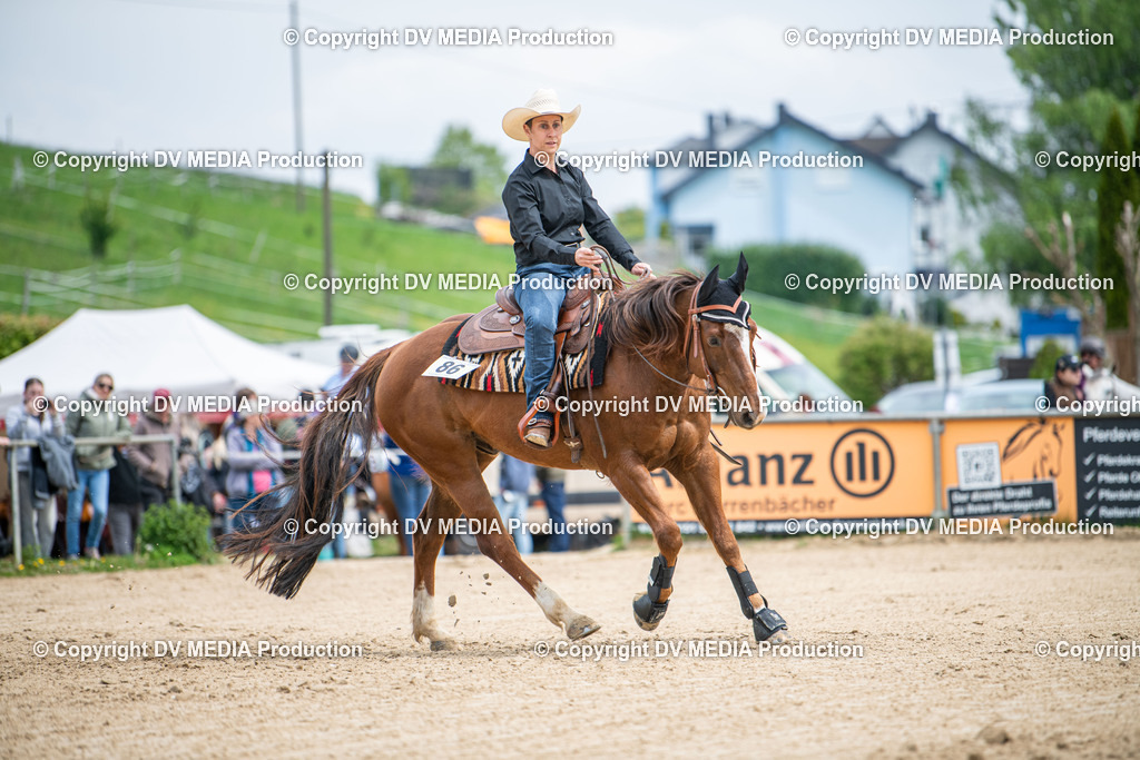 Heiligenwald Tag 2-1863 | dv-media-shop - Realisiert mit Pictrs.com