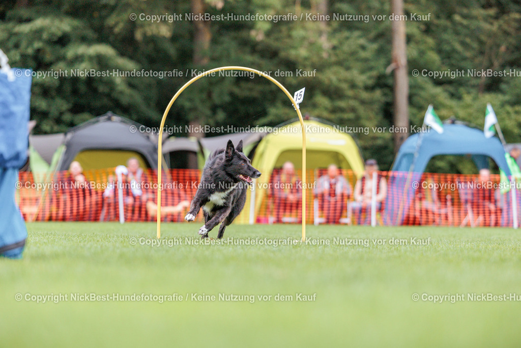 BSP Hoopers-H2 Tag2-2026-Nickbest-Hundefotografie-TuS Komet Arsten e.V.-7258 | Dein Hund! Dein Moment! Deine Erinnerungen! Hundefotografie in Bremen Blumenthal. Ich fange die besonderen Momente deines Vierbeiners ein – ob Indoor mit Blitzanlage oder in der freien Natur. Sicher dir dein Moment und dein Termin für eure Erinnerungen.
