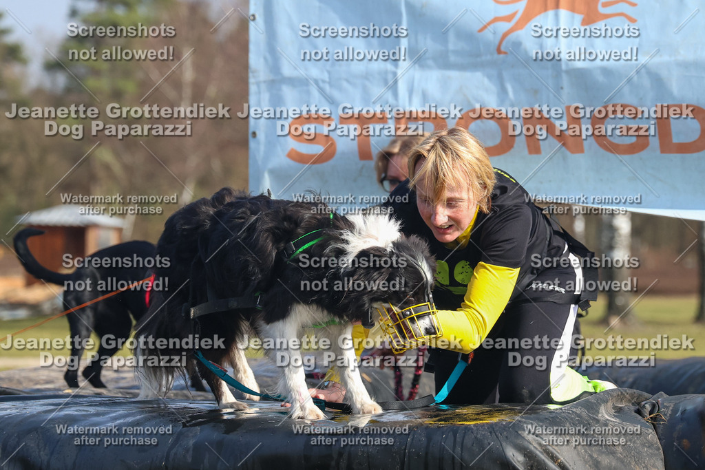Dog Paparazzi - Strongdog North Mrz26-2417 | Dog Paparazzi Jeanette Grottendiek Fotografie & Videografie - Realisiert mit Pictrs.com