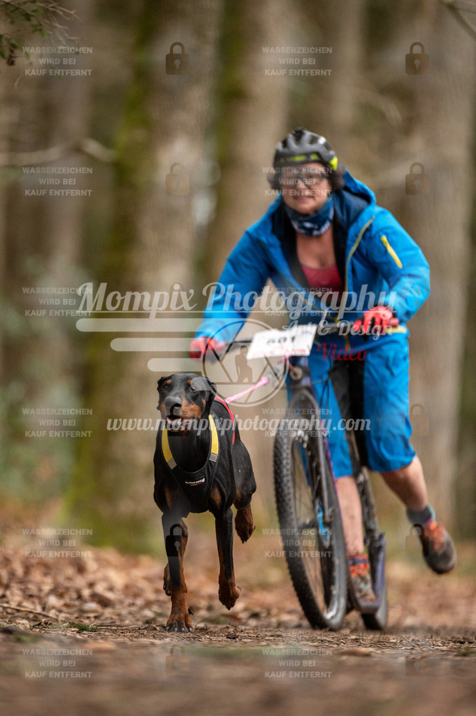 SPA_2023_DIM_Scooter-58 | PayLife