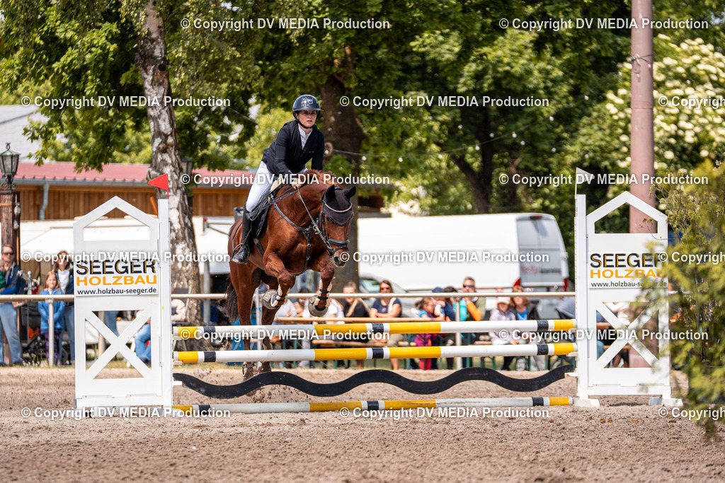 Eppelheim Tag 3-436 | dv-media-shop - Realisiert mit Pictrs.com