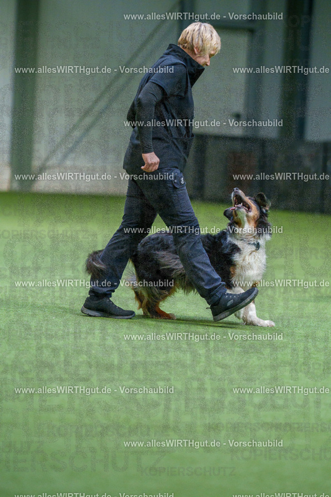 7R506099 | Professionelle Tierfotografie in Mönchengladbach von Daniel Wirth (allesWIRTHgut). Liebevolle & natürliche Bilder von Hunden & Katzen für unvergessliche Erinnerungen.