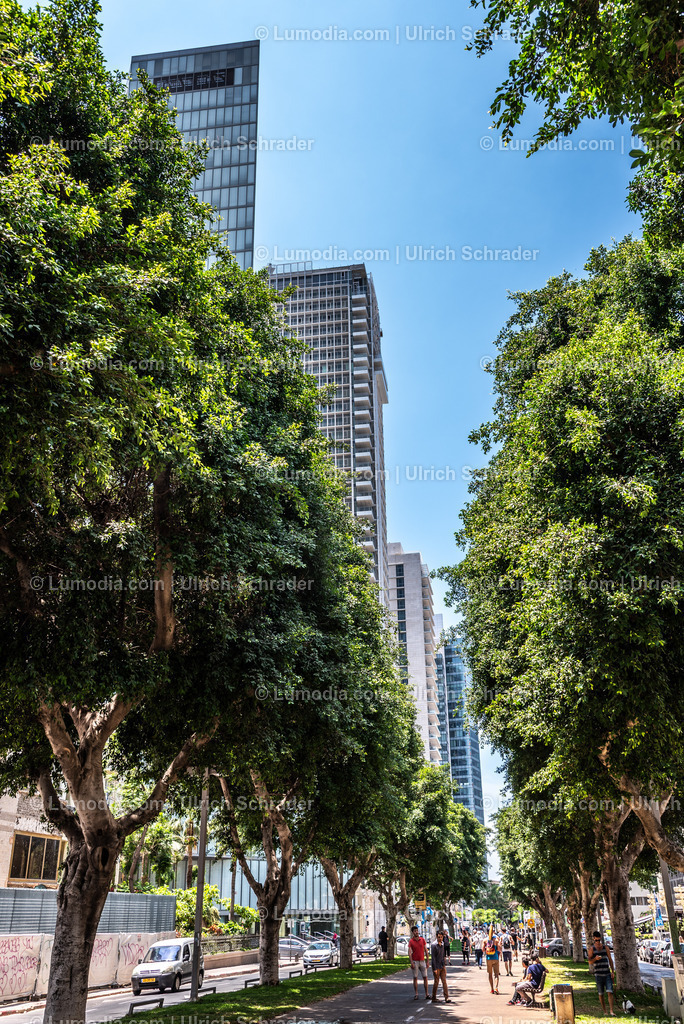10972-10166 - Tel Aviv - Rothschild Boulevard | Stockfoto und Bilderpool mit Bildmaterial aus Deutschland, dem Harz, Halberstadt, Quedlinburg, Wernigerode und weltweit. Qualitativ hochwertige und professionelle Fotos anschauen und kaufen. - Realisiert mit Pictrs.com