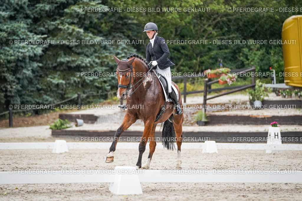 DSC09831 | Pferdegrafie