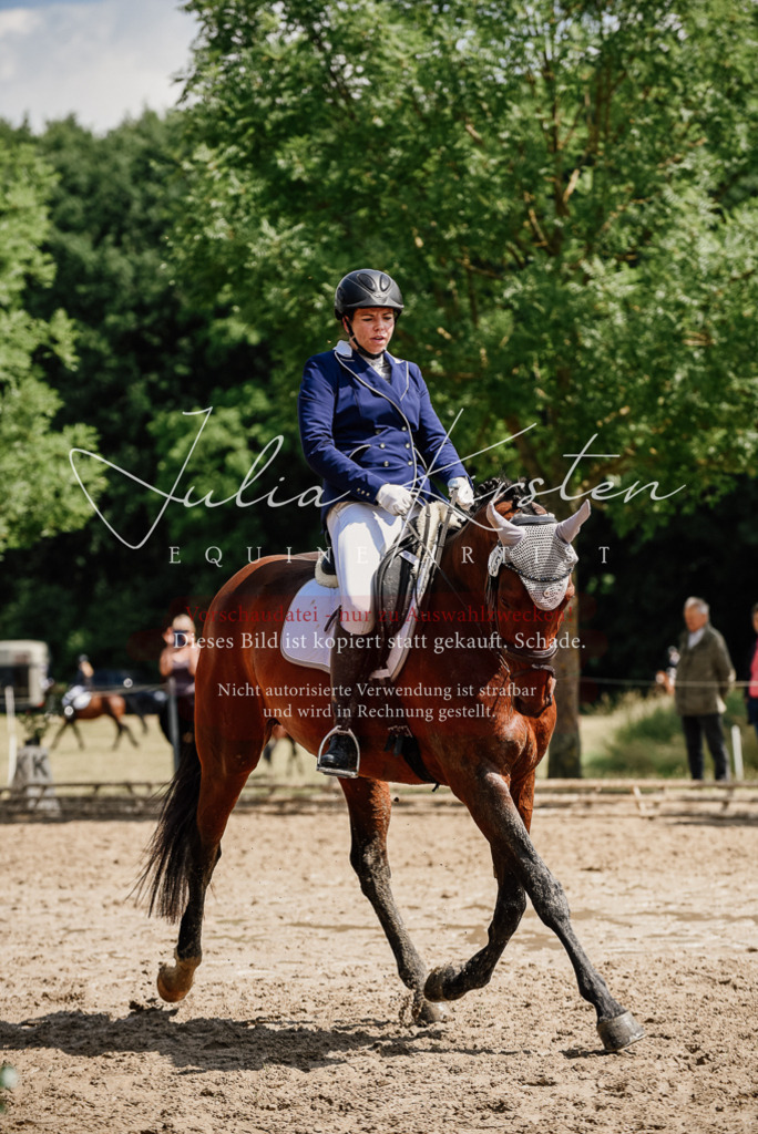 DSC_1221 | Pferde- und Turnierfotografie in Westsachsen. Pferdeportraits, Auftragszeichnungen und intuitive Kunst.