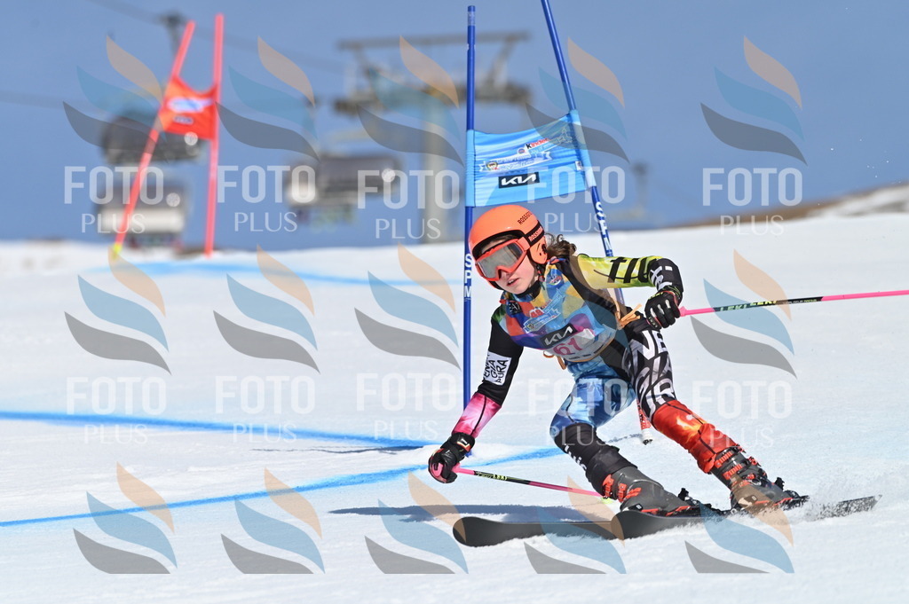 BGV_8749 | holidayphoto