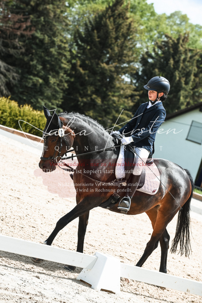 20230518_JK-Röhrsdorf-11-0540 | Pferde- und Turnierfotografie in Westsachsen. Pferdeportraits, Auftragszeichnungen und intuitive Kunst.