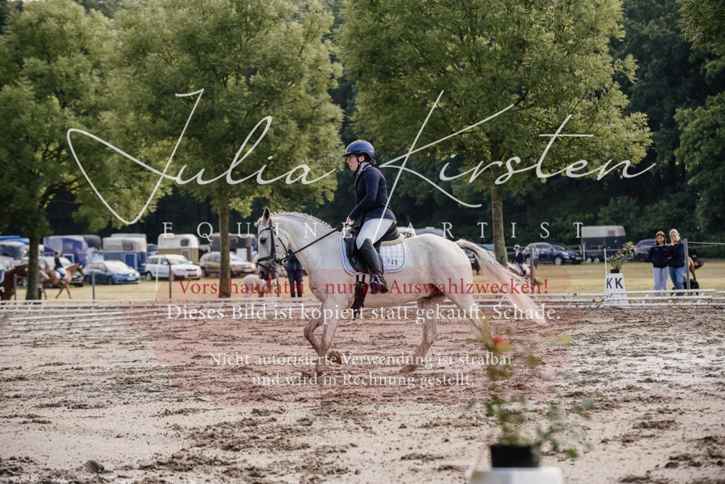 DSC_8021 | Pferde- und Turnierfotografie in Westsachsen. Pferdeportraits, Auftragszeichnungen und intuitive Kunst.