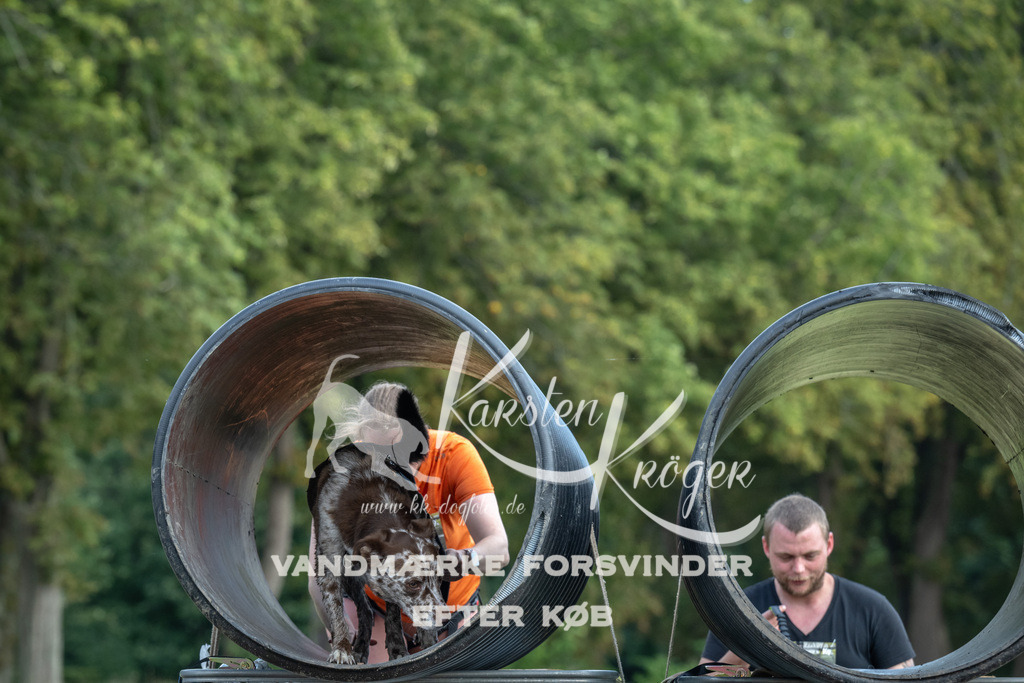 1317_ZZ92773 | kk-dogfotos