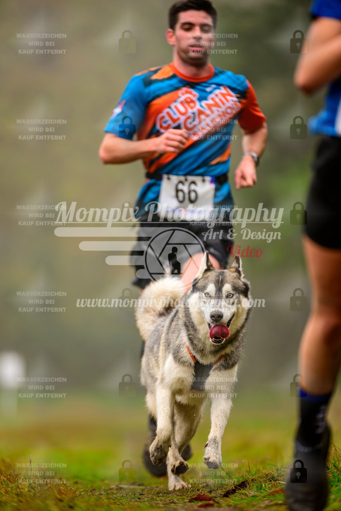 MompixPhotography_Bischwiller2025_Canicross-38 | mompixphotography