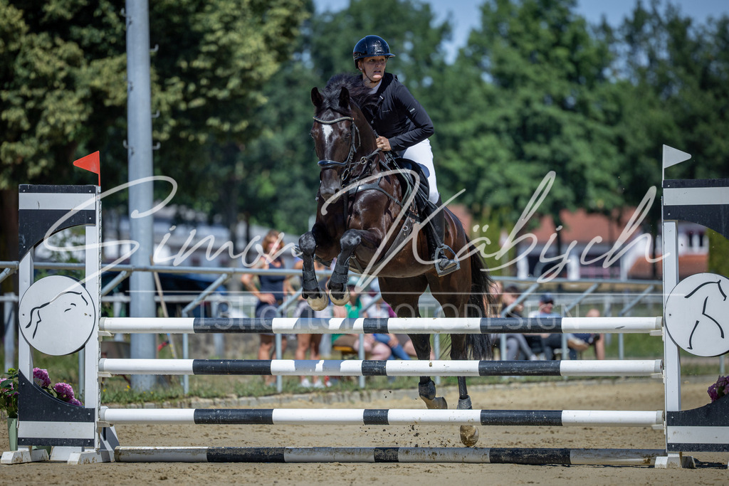 20260704-_3LI7996 | Tierfotografie Pferde, Hunde, Katzen, Haustiere.
Turnierfotografie Reitturniere, Reiten, Springreiten, Dressur in Hanau, dem Main-Kinzig-Kreis und dem Rhein-Main- Gebiet um Frankfurt